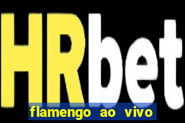 flamengo ao vivo hd play